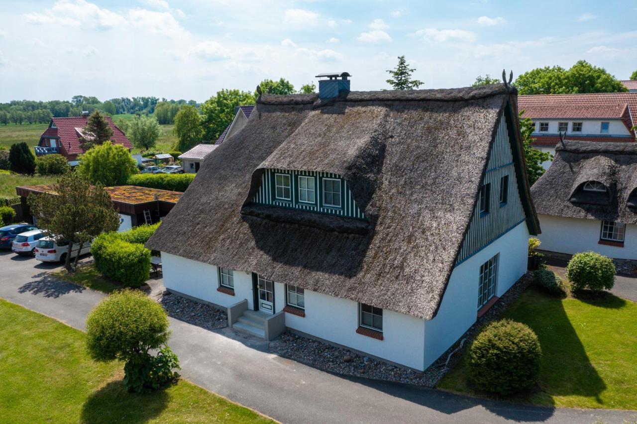 An Der Steilkueste Wohnung 03 Boltenhagen  Zewnętrze zdjęcie